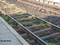 20130714-B15  Stahlschwellen im Bahnhof Hornberg