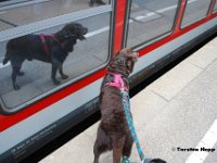 20130718-41  Stuttgart Hbf am 18.07.2013