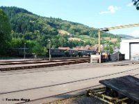 20130719-47  Ottenh�fen 19.07.2013