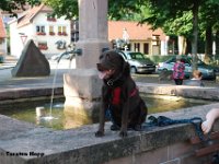 20130719-52  Ottenh�fen 19.07.2013