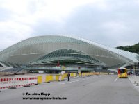 09082013-B29  Blick �bern Bahnhof Li�ge-Guillemins