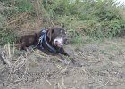uersfeld-23092020-B10  Mein Treuer Begleiter war Nat�rlich auch dabei