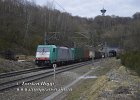DSC6240