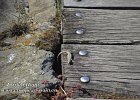 oberwesel-23042021-B087  Und noch ein Oberweselar