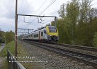 Pro-Ant-29042021-B51  AM-08104 als S-33 aus Mol nach Antwerpen in Lier