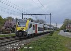 Pro-Ant-29042021-B53  AM-08154 als S-33 aus Mol nach Antwerpen in  Langen-Heuvel