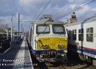 Pro-Ant-29042021-B79  ... AM-75 803 in Turnhout